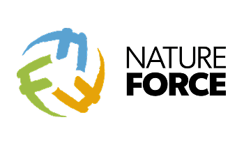 NF Logo