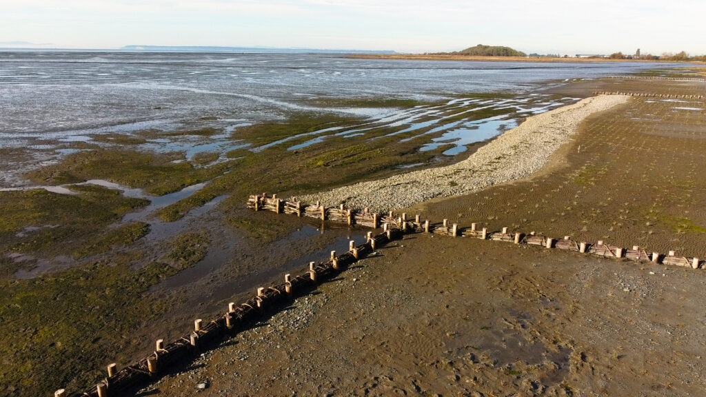 Photo of Mud Bay